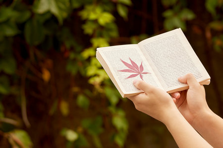 馬來西亞城市大學(xué)國際博士報名及考試時間