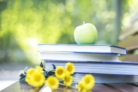 西班牙阿爾卡拉大學國際博士獲得什么證書