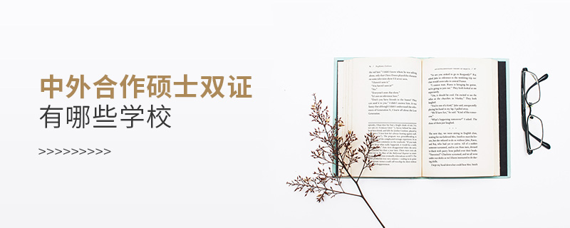 中外合作碩士雙證有哪些學(xué)校