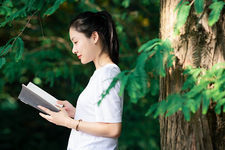 石家莊鐵道大學(xué)MEM成績啥時(shí)候出來
