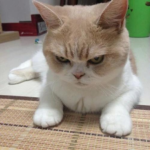 用戶頭像