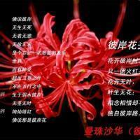 用戶頭像