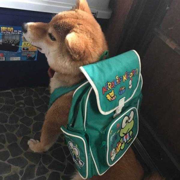 用戶頭像