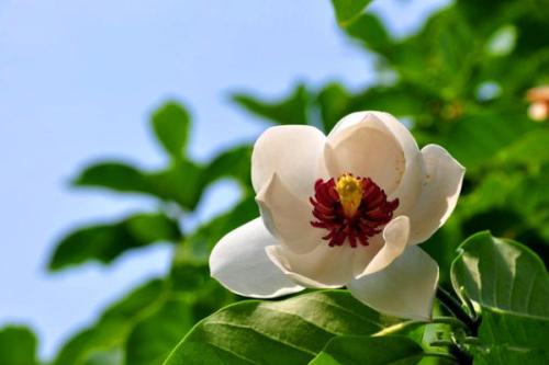 用戶(hù)頭像
