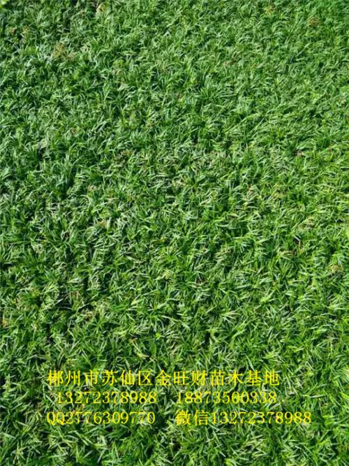 用戶頭像
