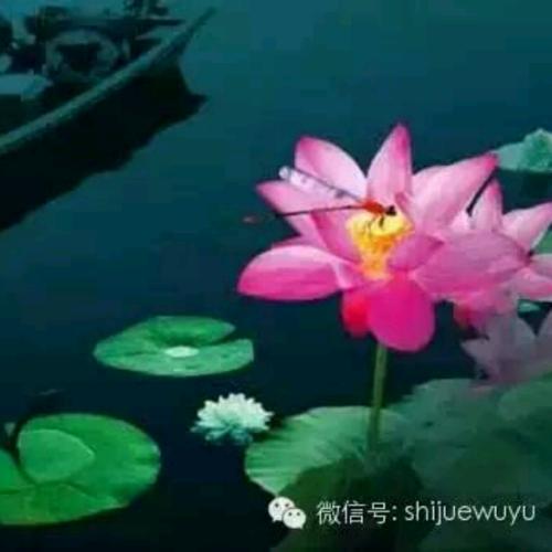 用戶頭像