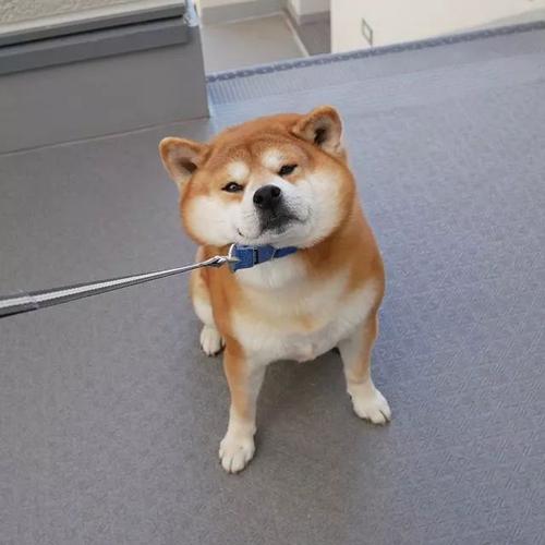用戶頭像