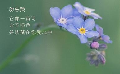 用戶頭像
