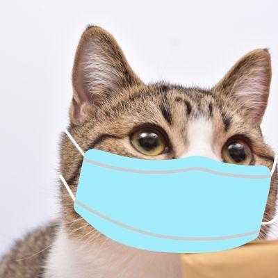 用戶頭像