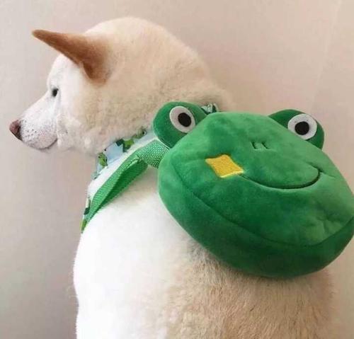 用戶頭像
