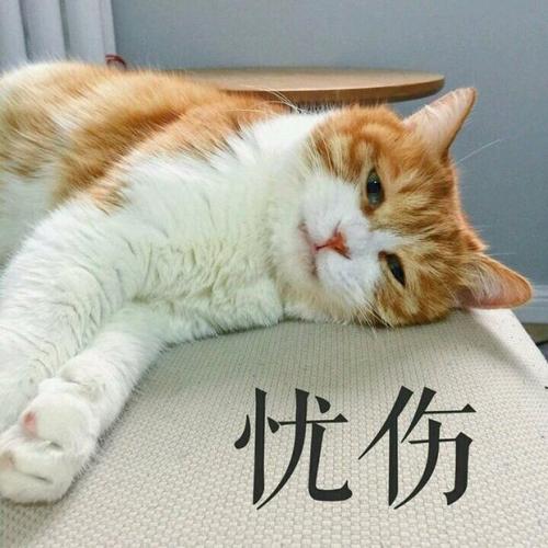 用戶頭像