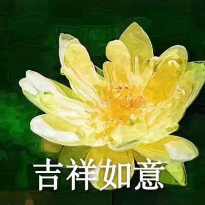 用戶頭像