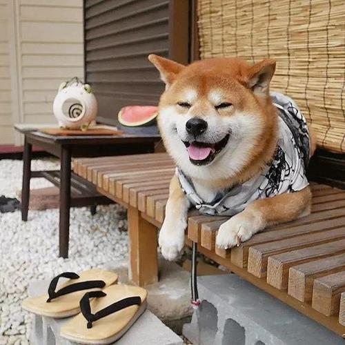 用戶頭像
