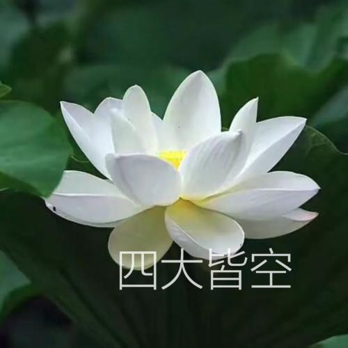 用戶頭像