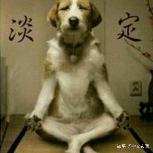用戶頭像