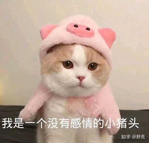 用戶頭像
