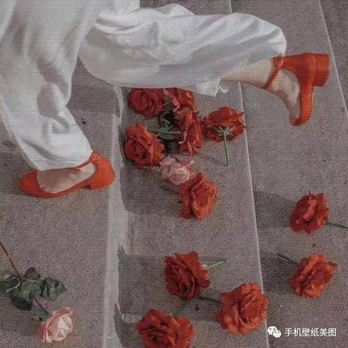 用戶頭像
