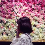 用戶頭像