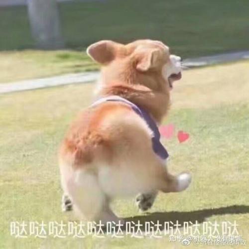 用戶頭像