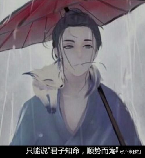 用戶頭像