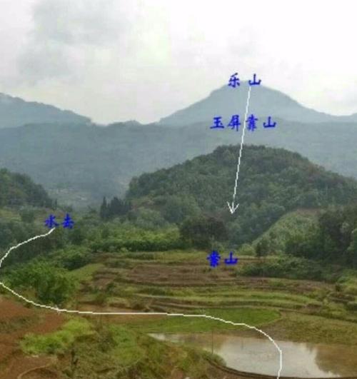 用戶頭像