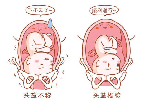 用戶頭像