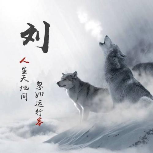 用戶頭像
