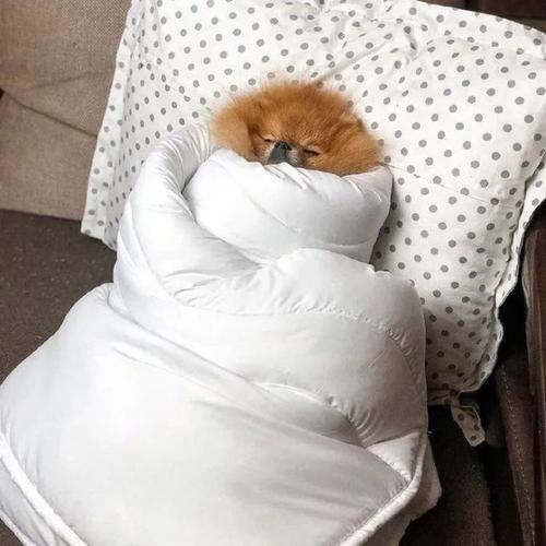 用戶頭像