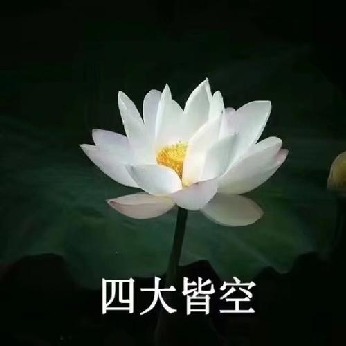 用戶頭像