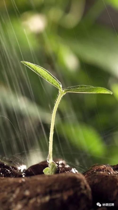用戶頭像