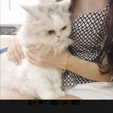 用戶頭像