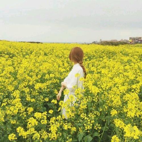 用戶(hù)頭像