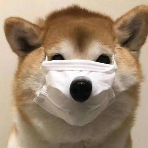 用戶頭像