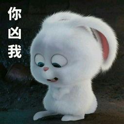 用戶(hù)頭像