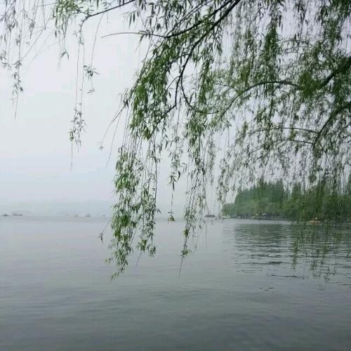 用戶頭像