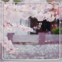 用戶頭像