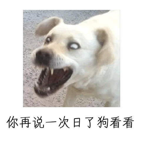 用戶頭像