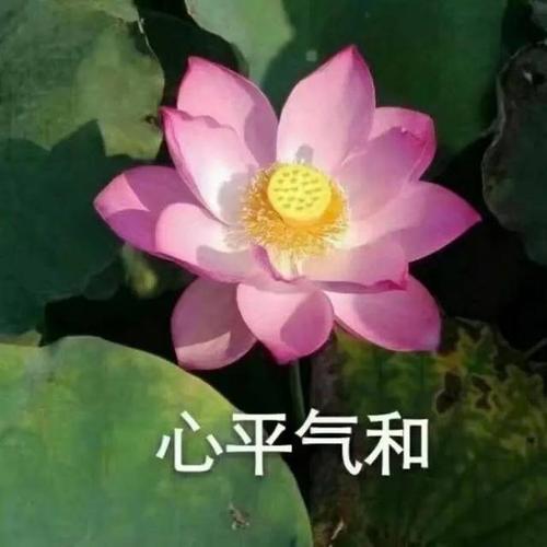 用戶頭像