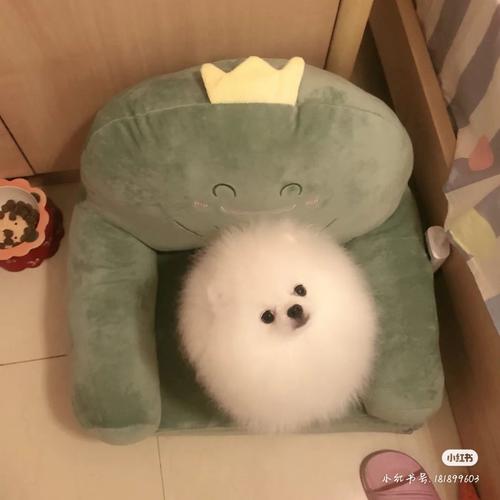 用戶頭像