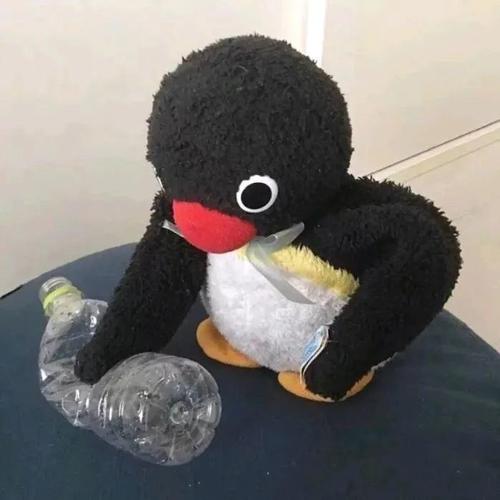 用戶頭像