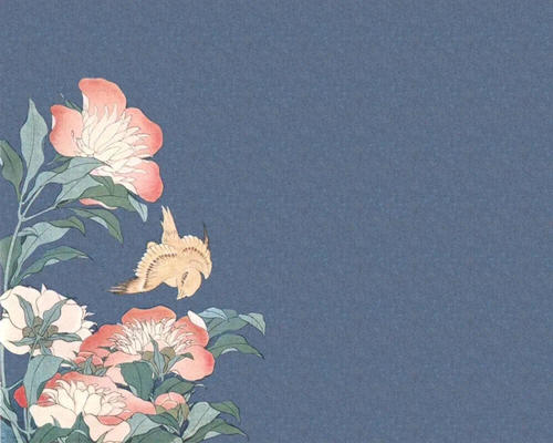 用戶頭像