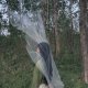 用戶頭像
